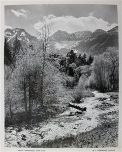 Image description is not available for 2007.022